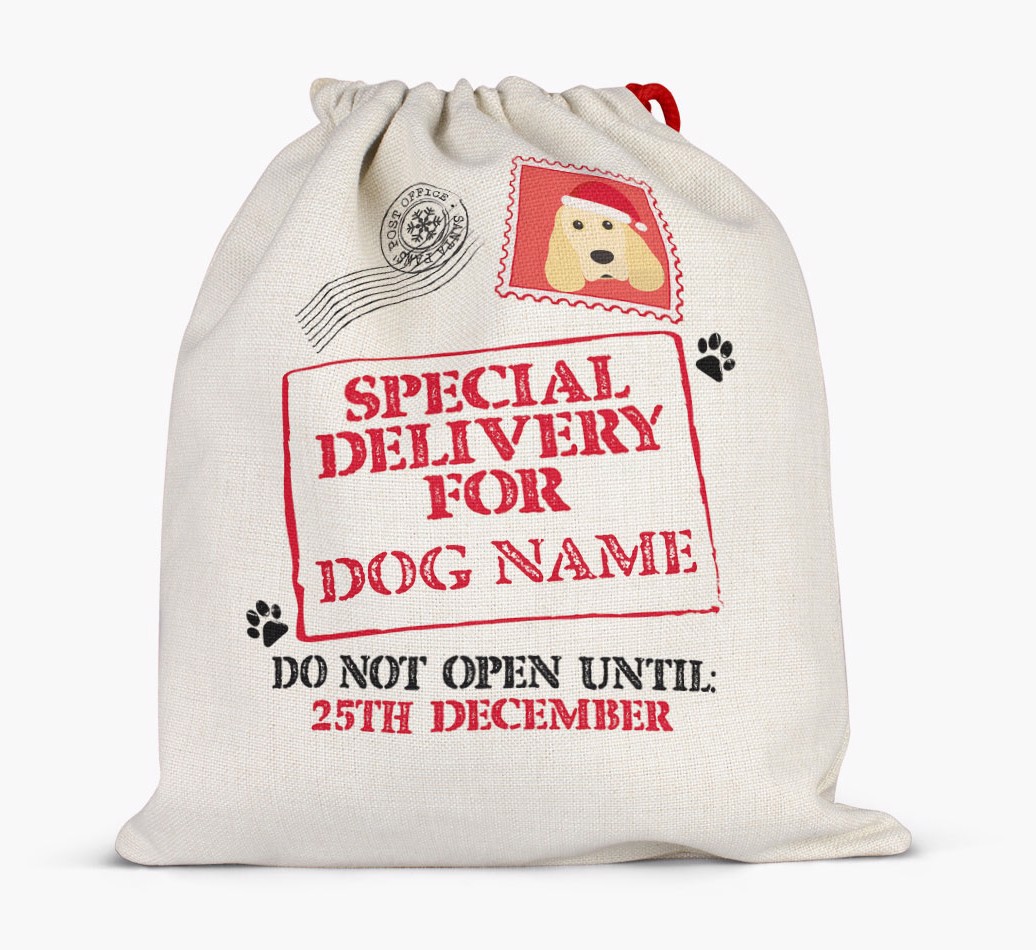 Special Delivery for {dogsName}: Personalised {breedFullName} Santa Sack - Full