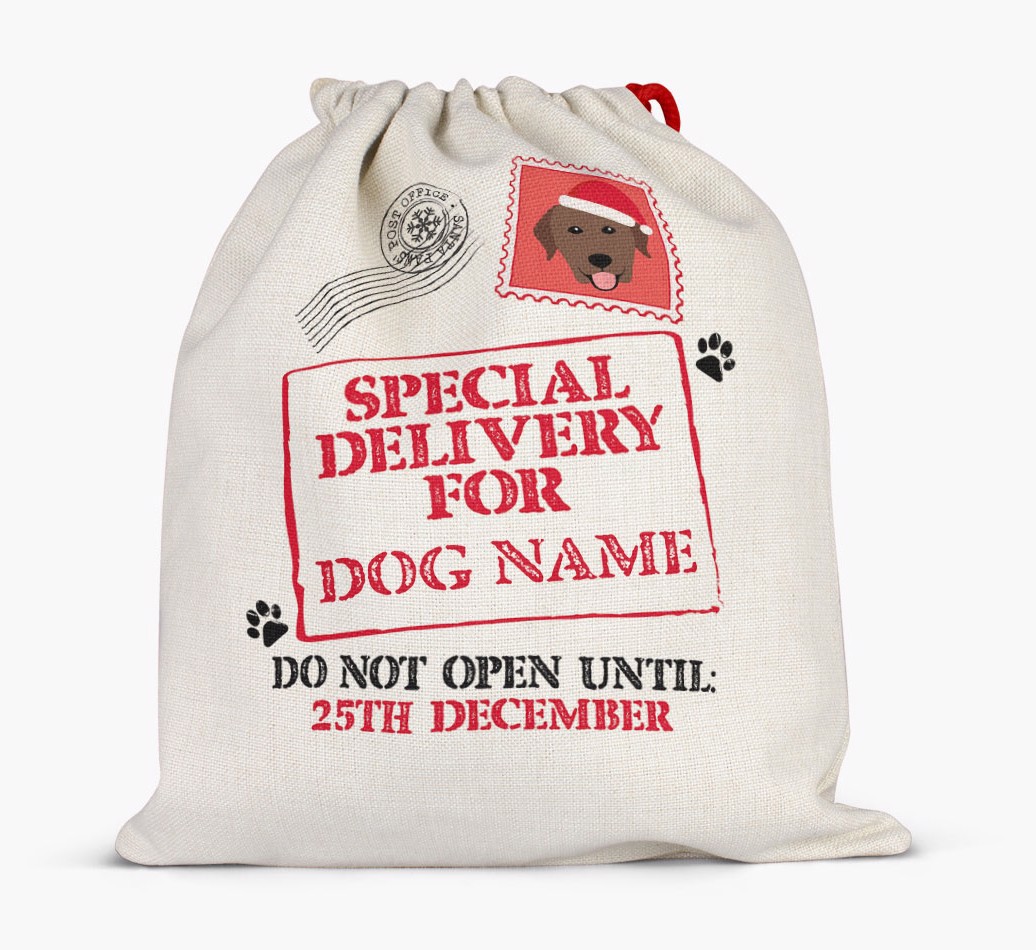 Special Delivery for {dogsName}: Personalized {breedFullName} Santa Sack - Full