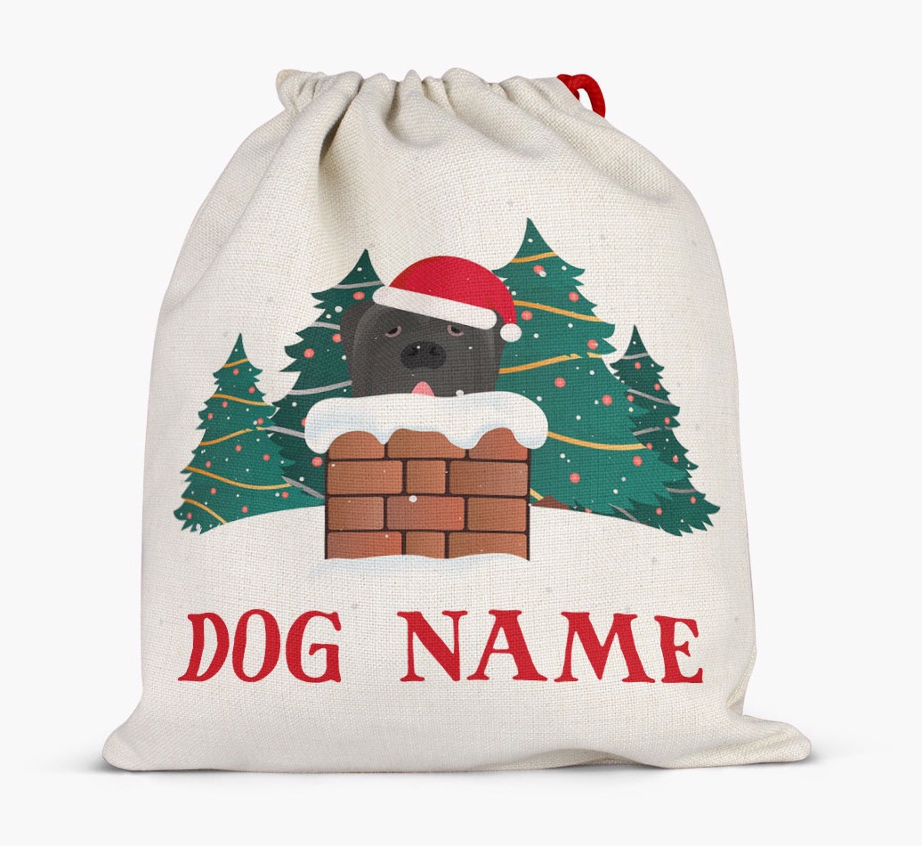 Peeking Dog with Santa Hat: Personalised {breedFullName} Santa Sack - Full