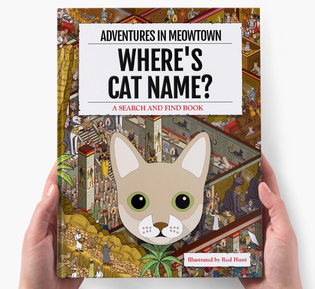 Personalised Where's Cat Name In Meowtown Book - holding in hands