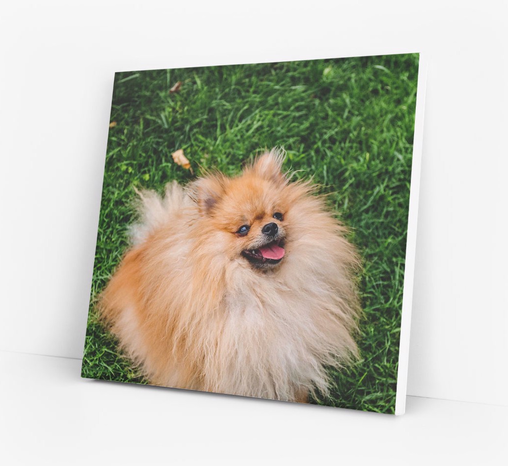 Square Canvas Print for your {breedCommonName}