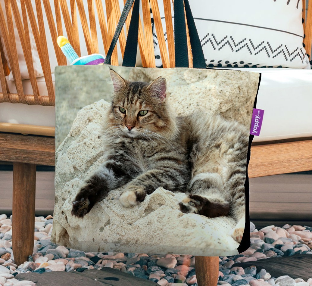 Photo Upload Canvas Bag: Personalised for your {breedCommonName} - hanging on a chair