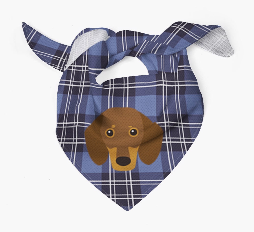 Scottish Tartan Pattern - Personalised Dachshund Bandana | Yappy.com
