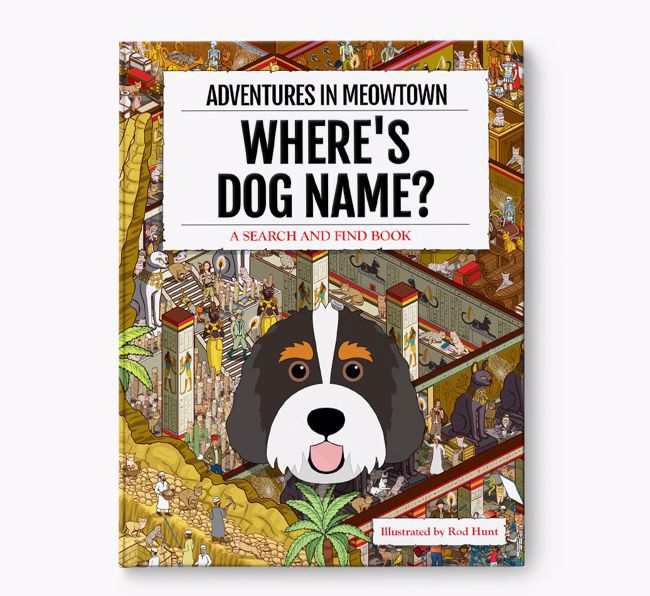 Personalised Bernedoodle Book: Where's Bernedoodle? Volume 2