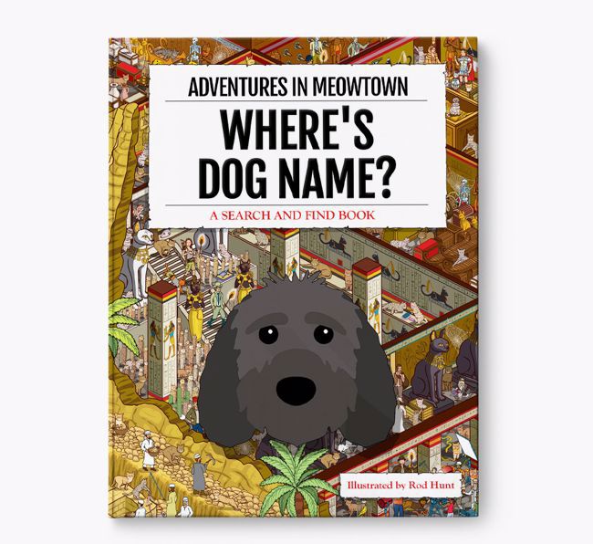 Personalised Sproodle Book: Where's Sproodle? Volume 2