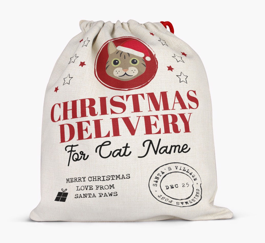 'Christmas Delivery' - Personalised {breedCommonName} Santa Sack - full