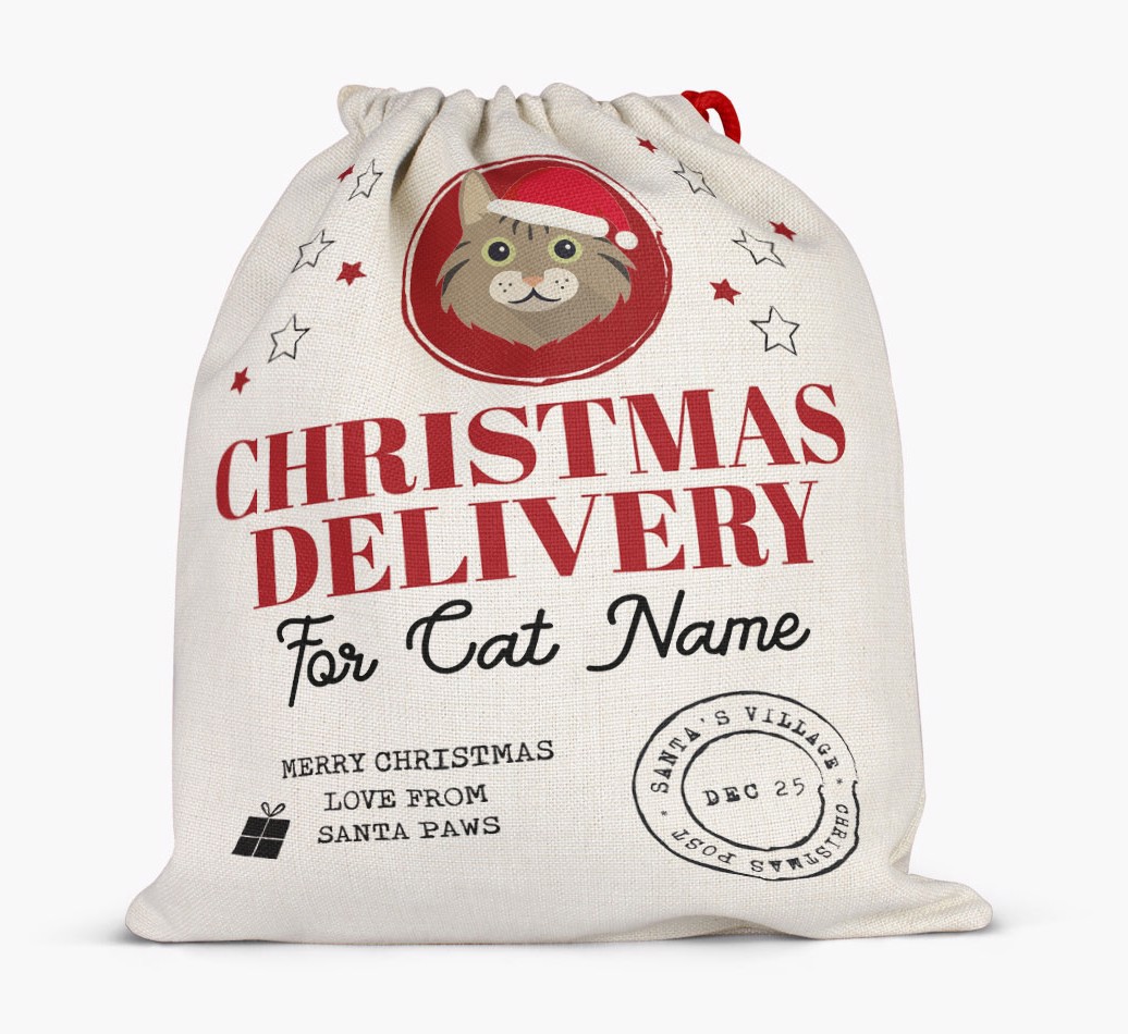 'Christmas Delivery' - Personalized {breedCommonName} Santa Sack - full