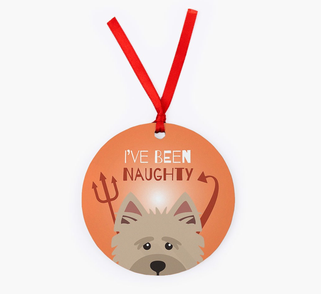 'I've Been Naughty' - Personalised {breedFullName} Ornament - Front