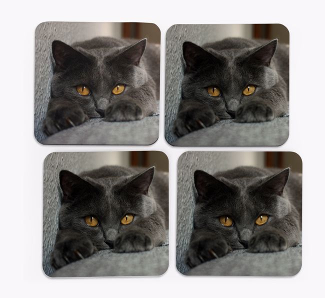 {breedFullName} Photo Upload Coasters (Set of 4)