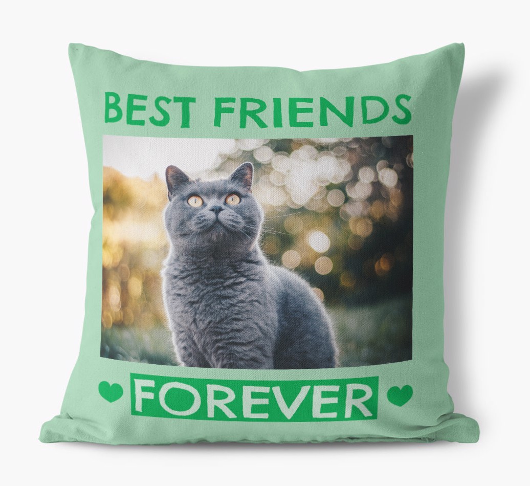 'Best Friends Forever' - {breedCommonName} Photo Upload Pillow - front view