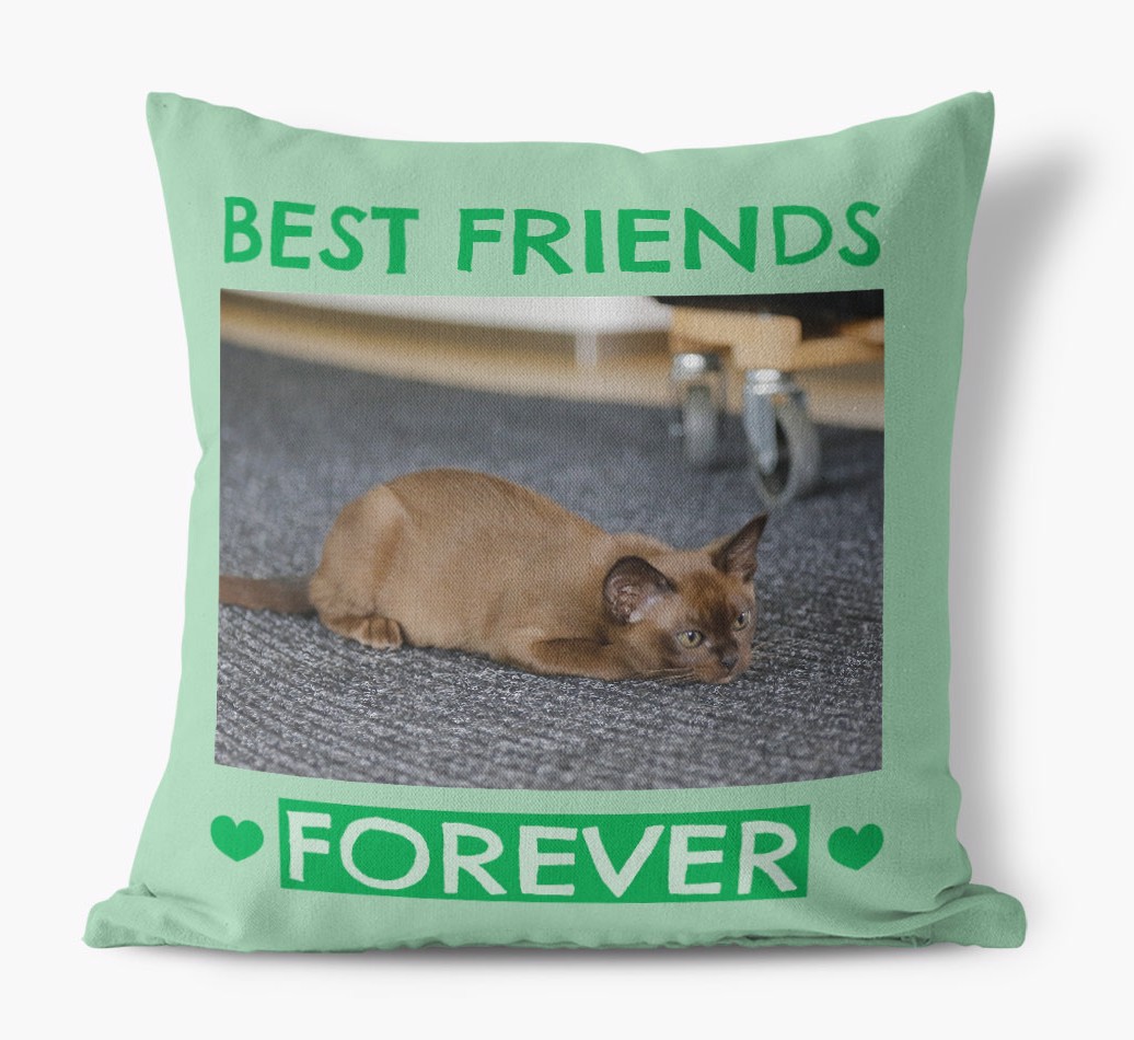 'Best Friends Forever' - {breedCommonName} Photo Upload Pillow - front view