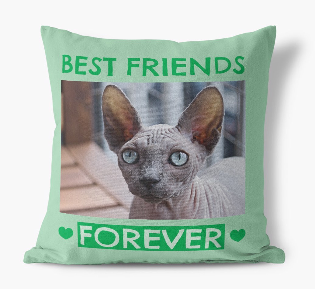 'Best Friends Forever' - {breedCommonName} Photo Upload Cushion - front view