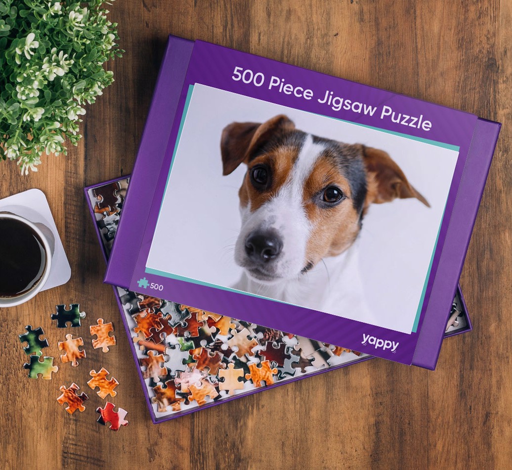 puzzles of your dog