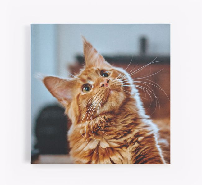 Photo Upload Canvas Print - Personalised for your {breedFullName}