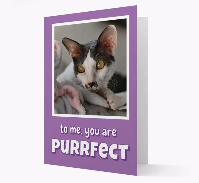 'You Are Purrfect' - {breedCommonName} Photo Upload Card