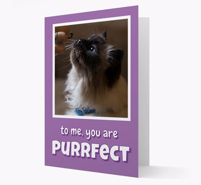 'You Are Purrfect' - {breedCommonName} Photo Upload Card