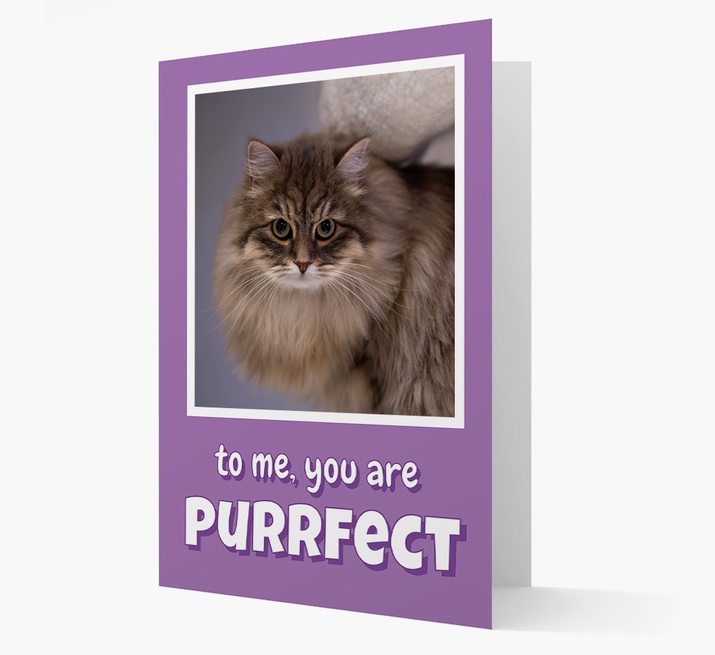 'You are Purrfect' - Personalized {breedCommonlName} Card - Front