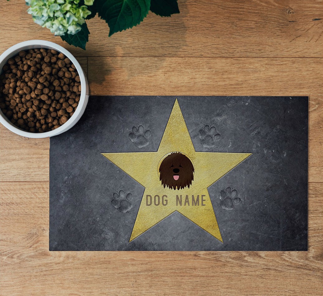 Star of Fame Feeding Mat - flatlay on wooden floor with bowl