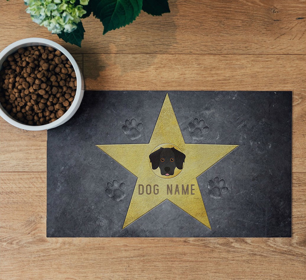 Star of Fame Feeding Mat - flatlay on wooden floor with bowl