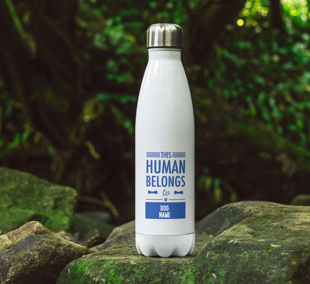 'This Human Belongs to...' - Personalised {breedFullName} Water Bottle - full image on rocks