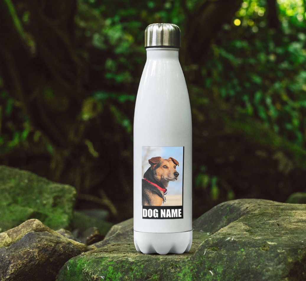 'Best Dog in the World' - {breedFullName} Photo Upload Water Bottle