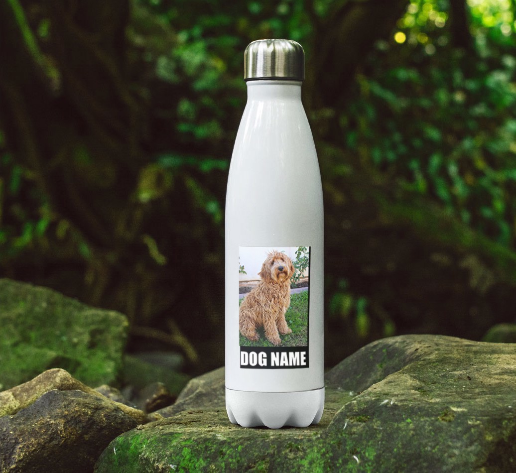 'Best Dog in the World' - {breedFullName} Photo Upload Water Bottle