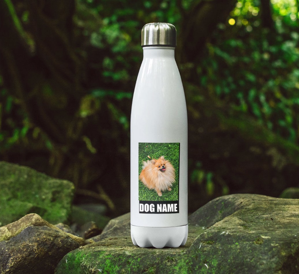 'Best Dog in the World' - {breedFullName} Photo Upload Water Bottle