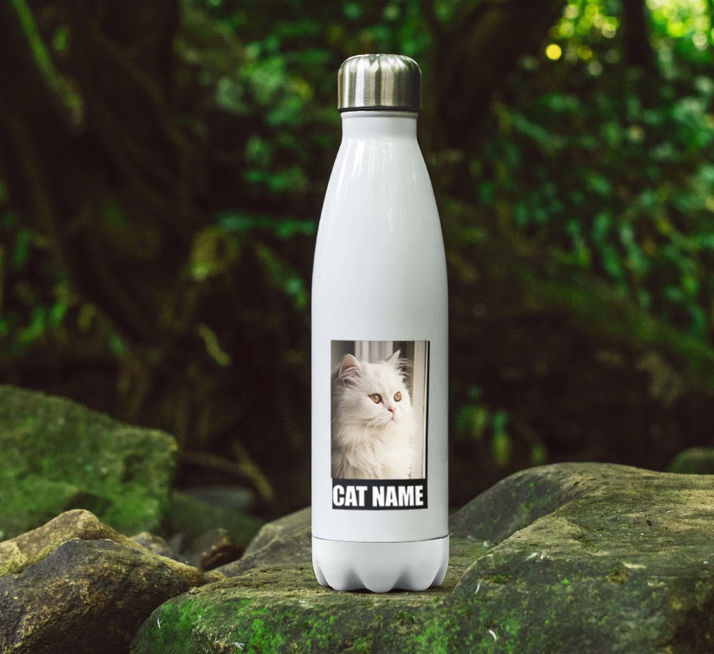 'Best Cat in the World' - {breedFullName} Photo Upload Water Bottle