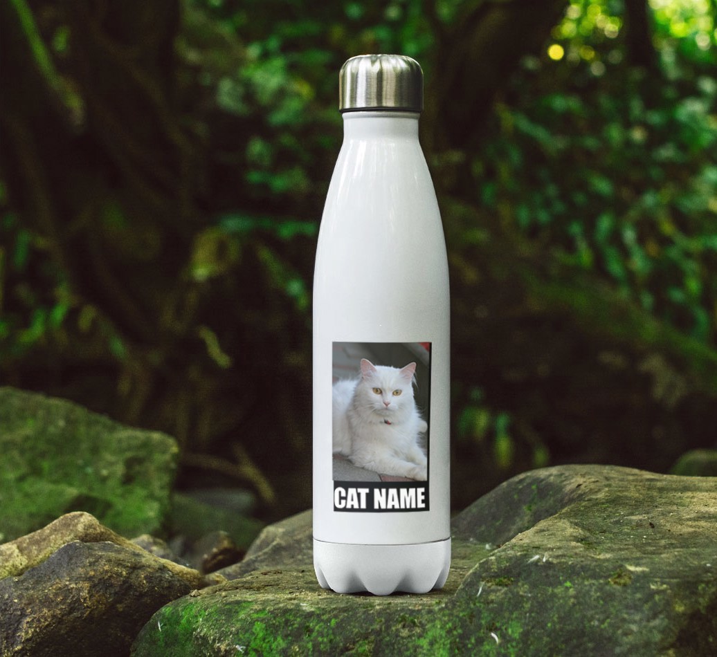 'Best Cat in the World' - {breedFullName} Photo Upload Water Bottle