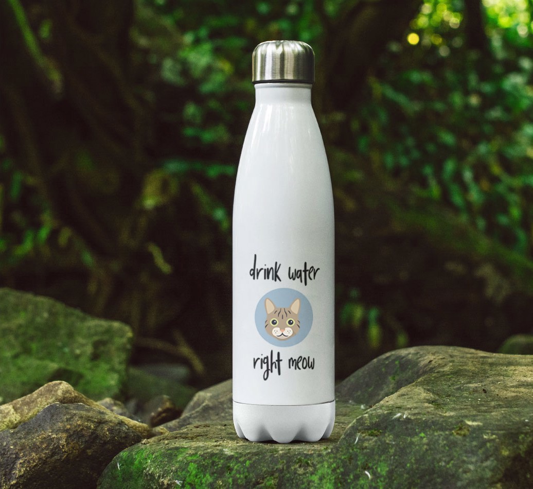 'Drink Water Meow' - Personalised {breedFullName} Water Bottle
