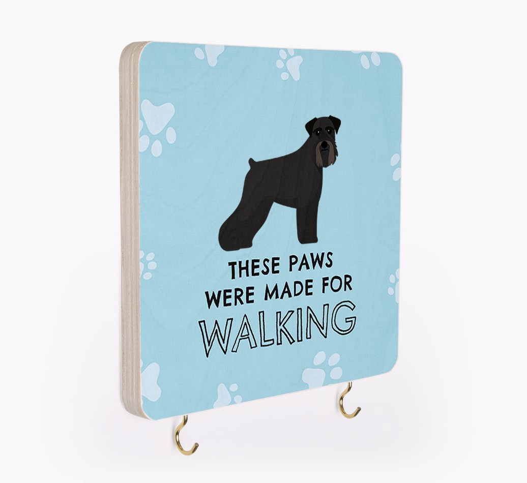 'These Paws Were Made for Walking' - Personalised Lead & Collar Hanger