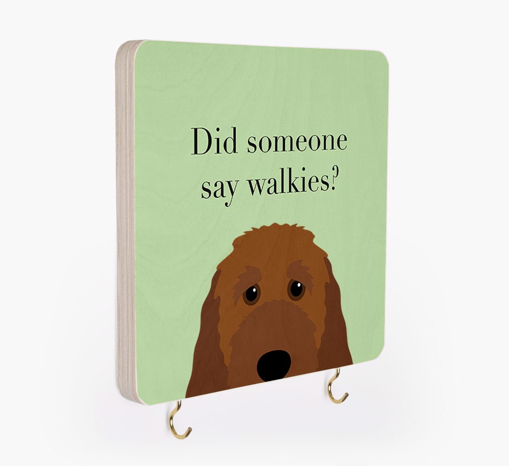 'Did Someone Say Walkies?' - Personalised Lead & Collar Hanger