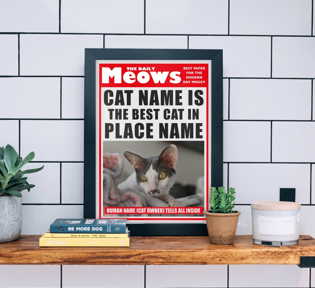 The Daily Meows, Best Cat in Town: Personalised {breedCommonName} Photo Upload Framed Print - black frame lifestyle