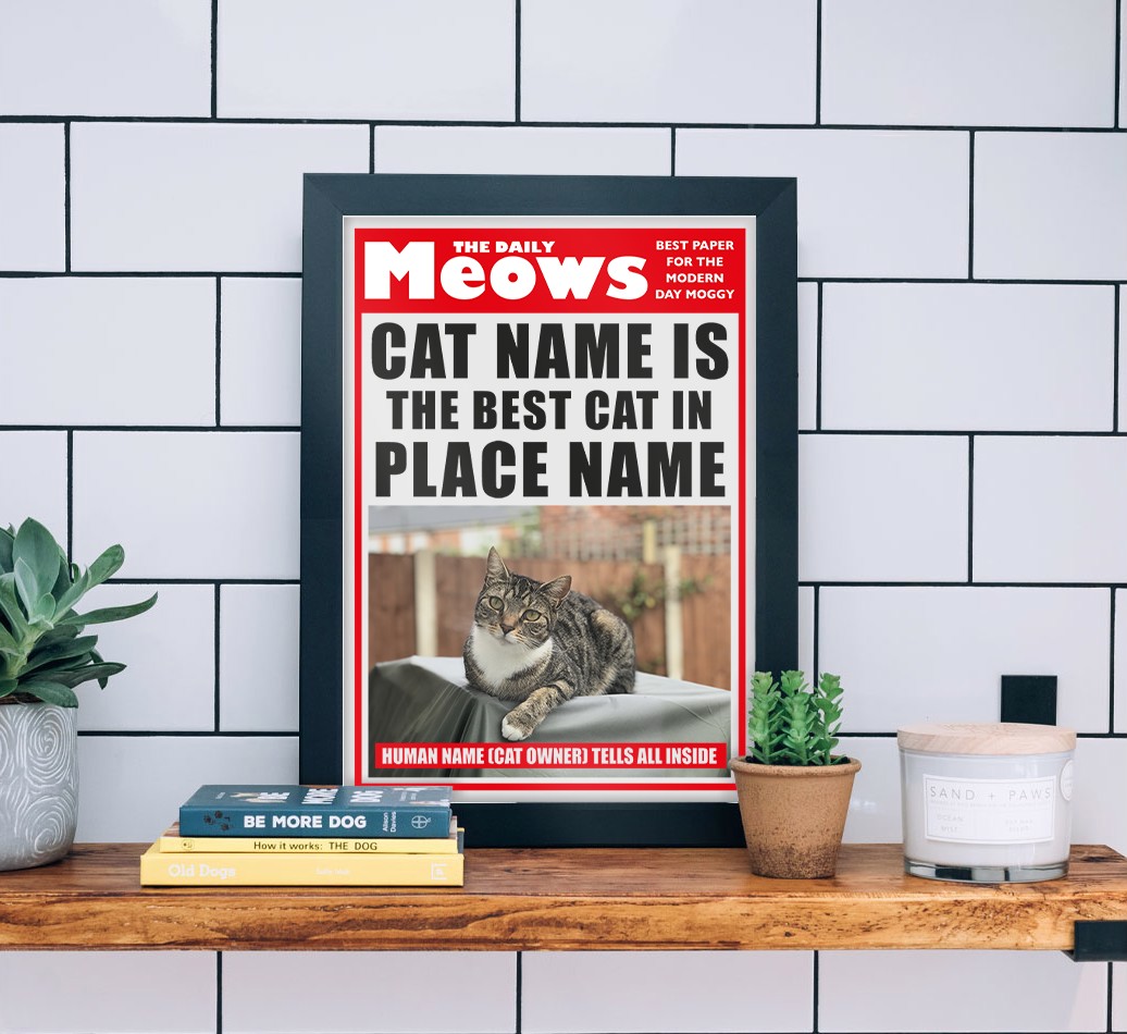 The Daily Meows, Best Cat in Town: Personalised {breedCommonName} Photo Upload Framed Print - black frame lifestyle