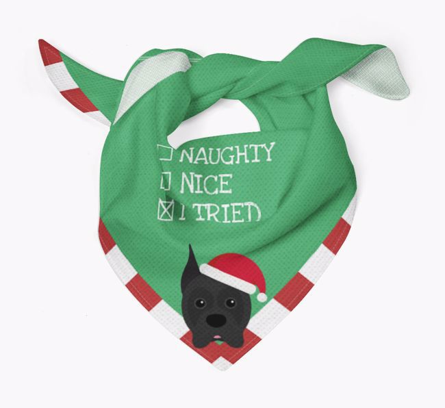 Christmas Checkbox: Personalised {breedFullName} Bandana