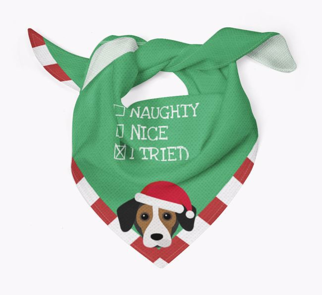 Christmas Checkbox: Personalised {breedFullName} Bandana