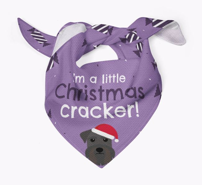 Christmas Cracker Personalised Bandana with {breedFullName} Icon