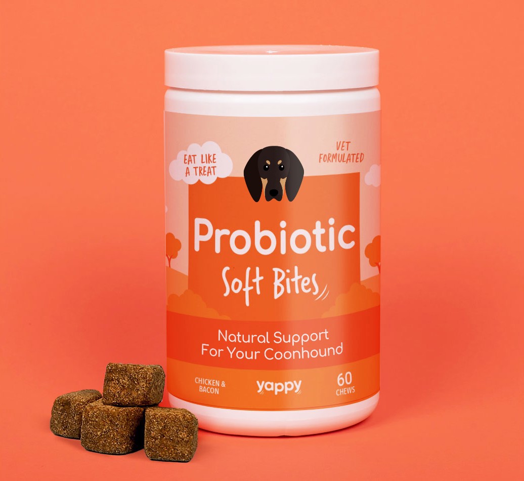 Probiotic Soft Chew Supplement for your {breedFullName}