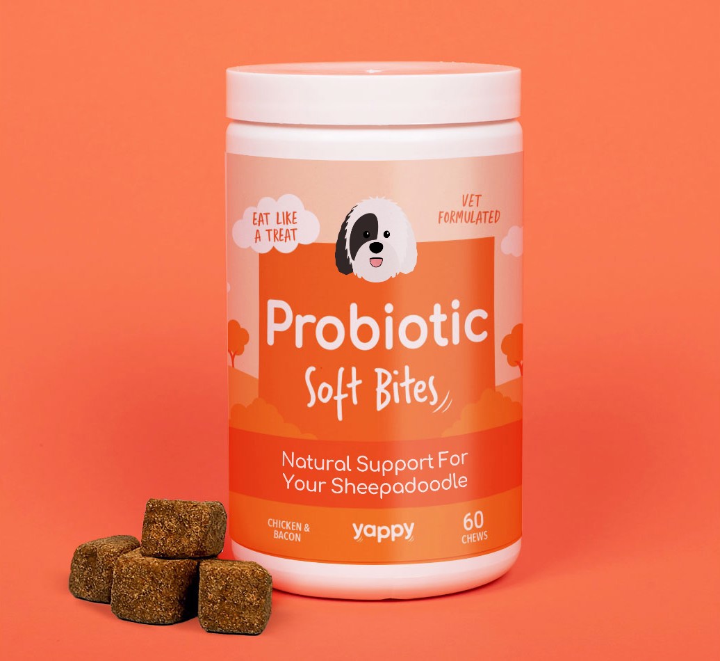 Probiotic Soft Chew Supplement for your {breedFullName}