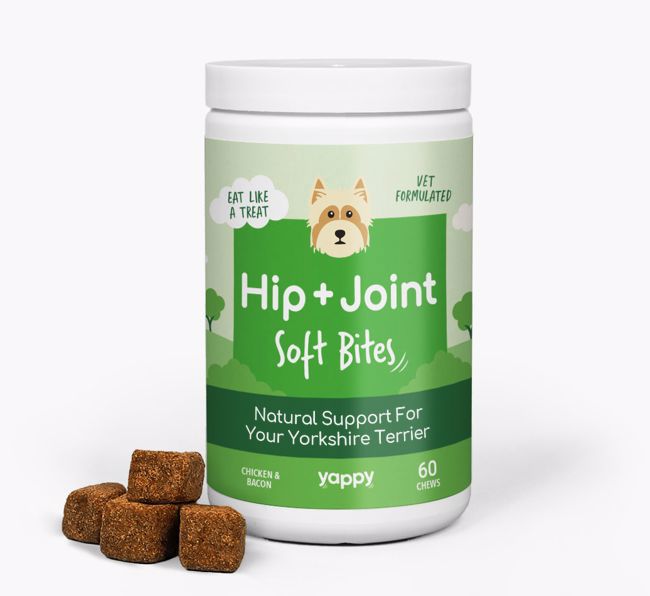 Yorkie sales vitamin supplements