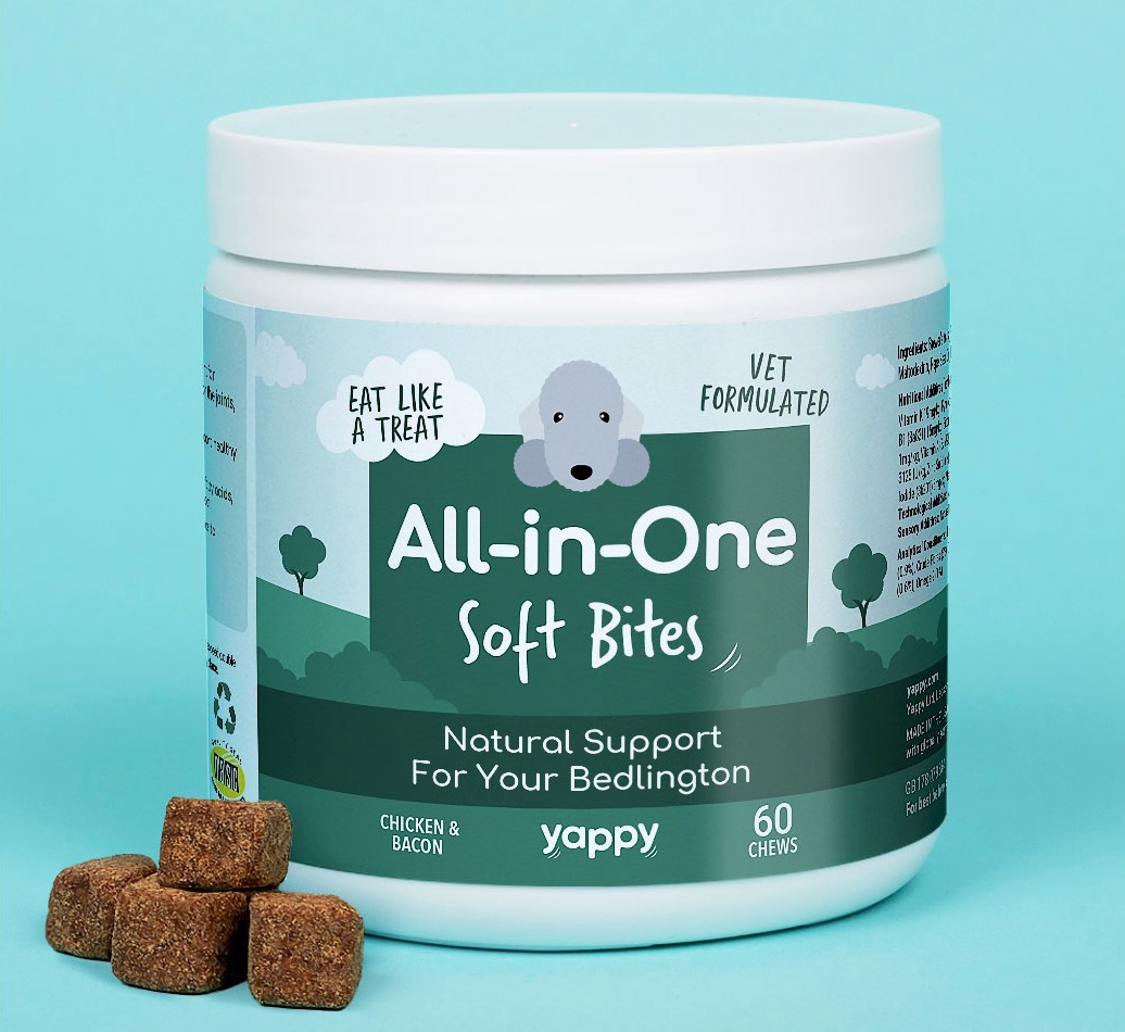 All In One - Soft Chew Supplements Personalised for your {breedCommonName}