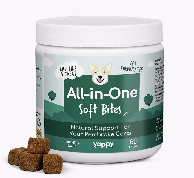 All-in-one {breedFullName} Supplements