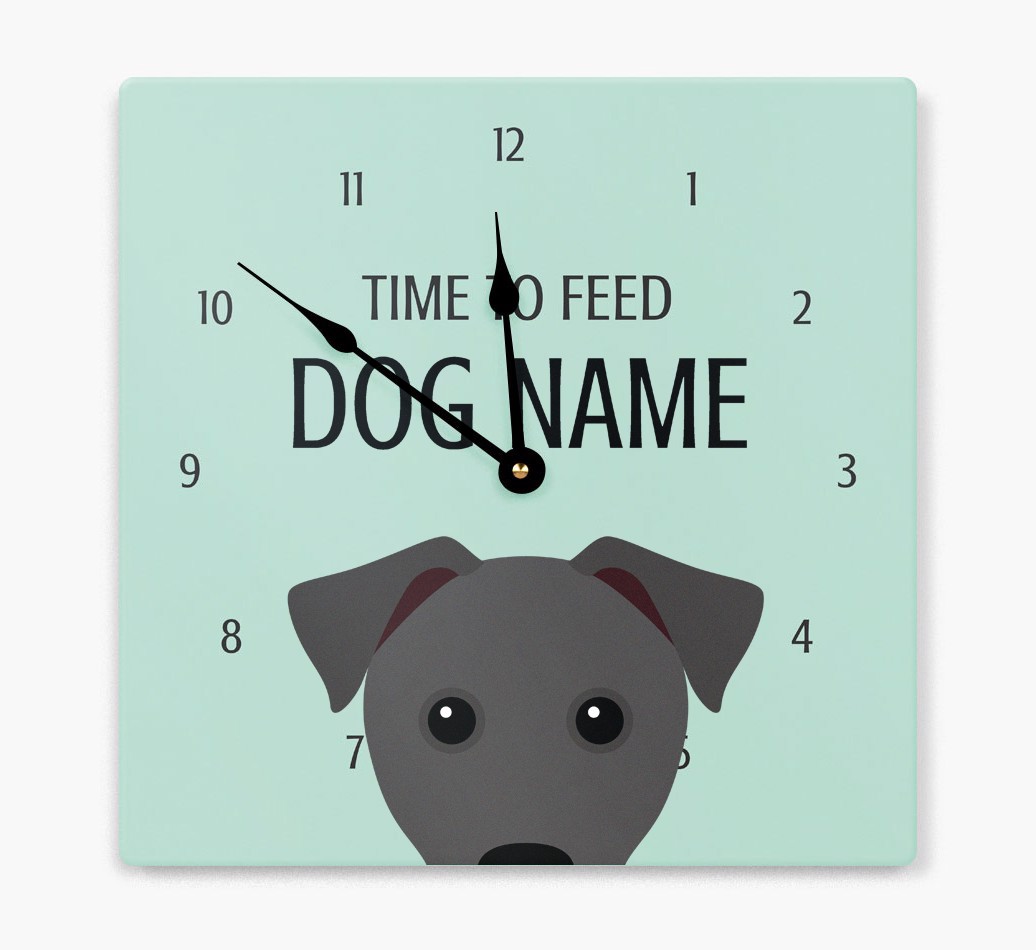 'Time To Feed...' - Personalised Wall Clock with {breedFullName} Icon