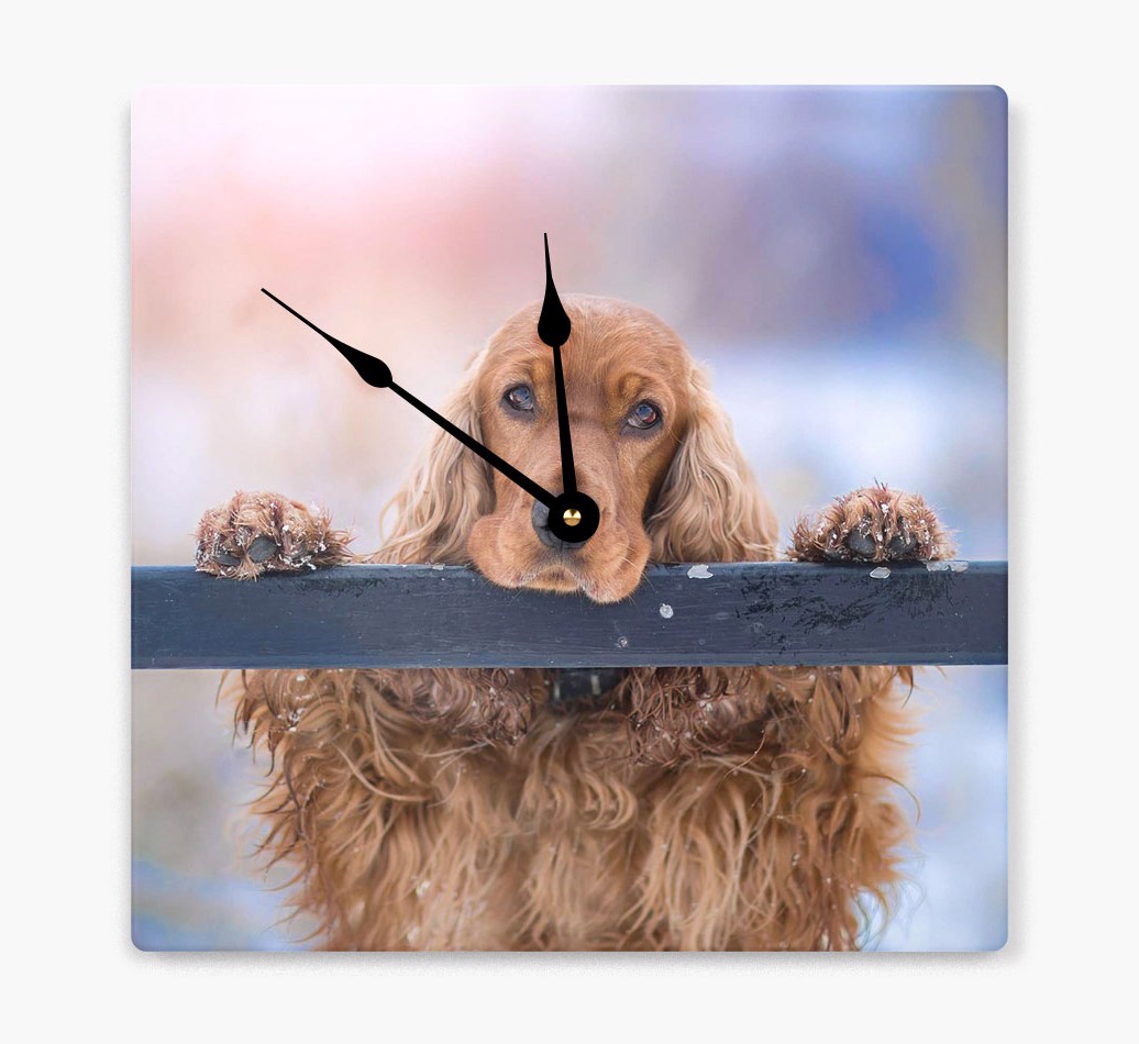 Personalised Wall Clock with {breedFullName} Photo