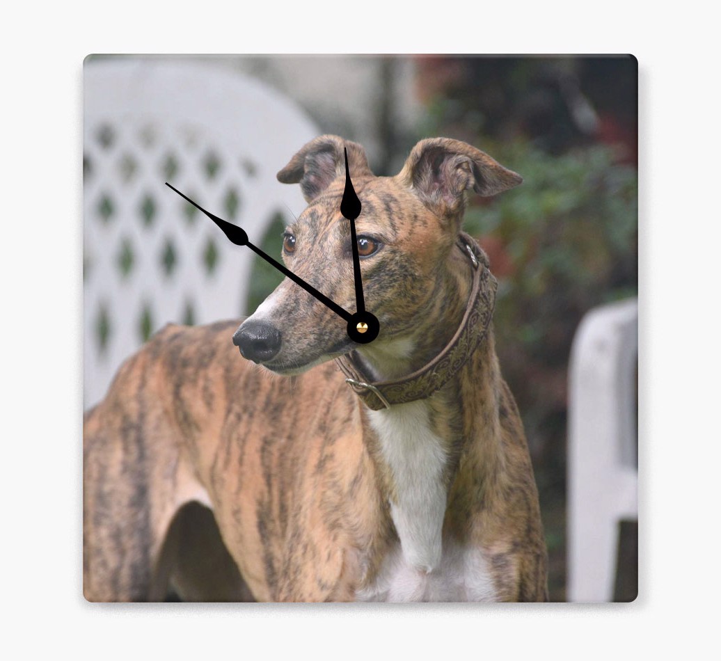 Personalised Wall Clock with {breedFullName} Photo