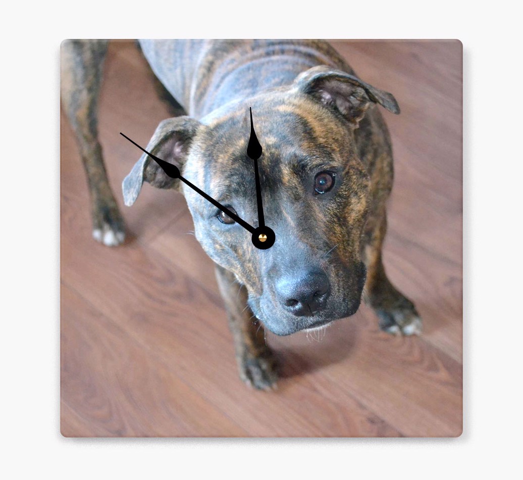 Personalized Wall Clock with {breedFullName} Photo