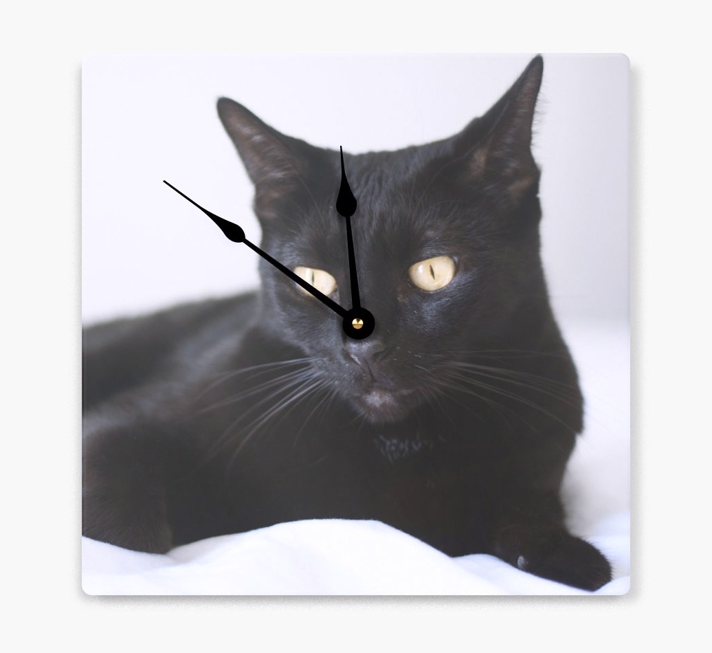 Personalised Wall Clock with {breedCommonName} Photo