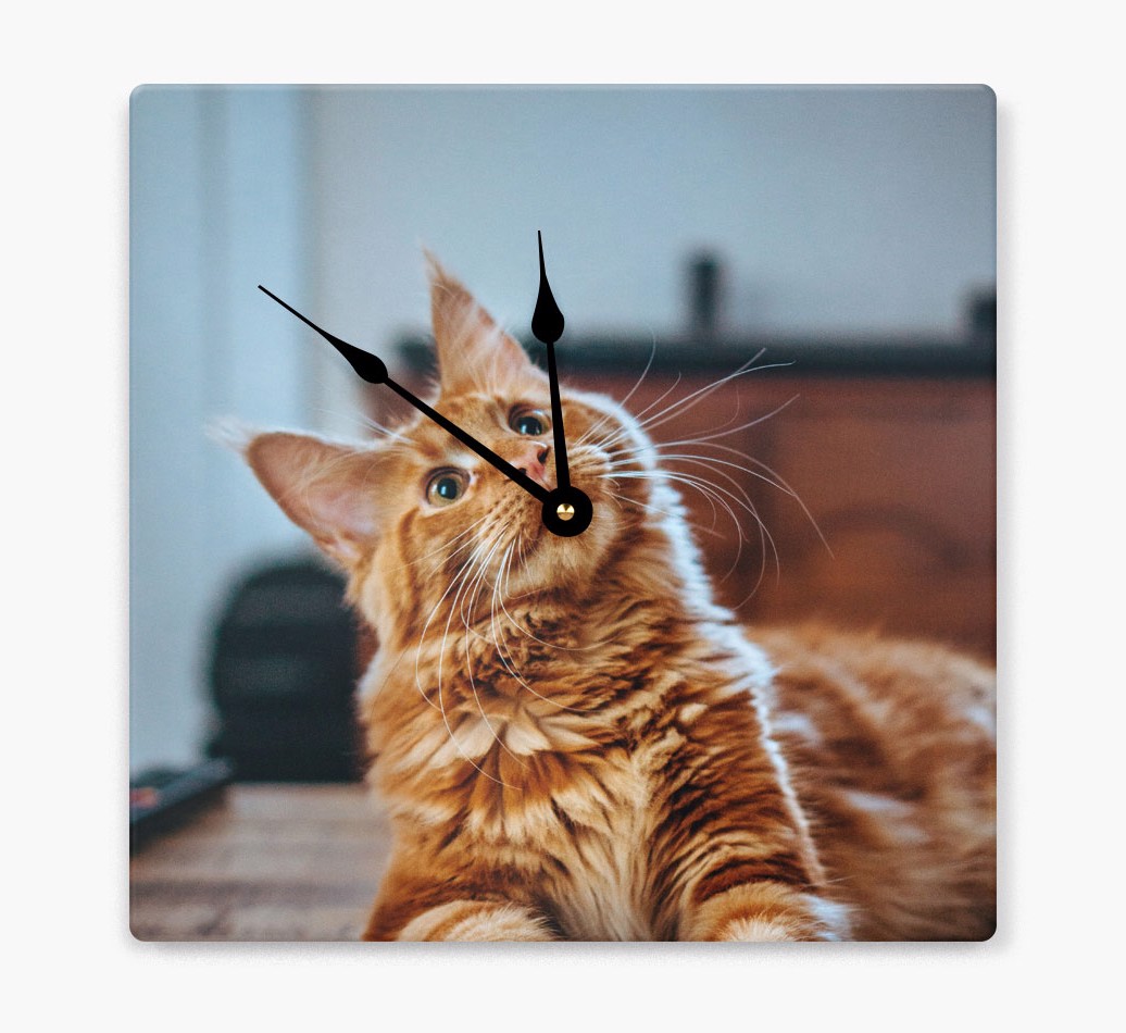 Personalized Wall Clock with {breedCommonName} Photo