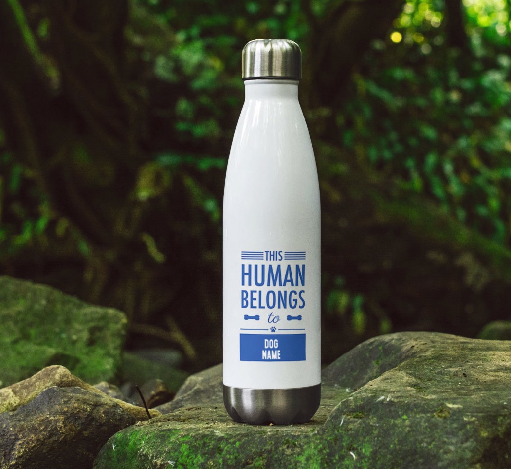 'This Human Belongs to...' - Personalized {breedFullName} Water Bottle - full image on rocks