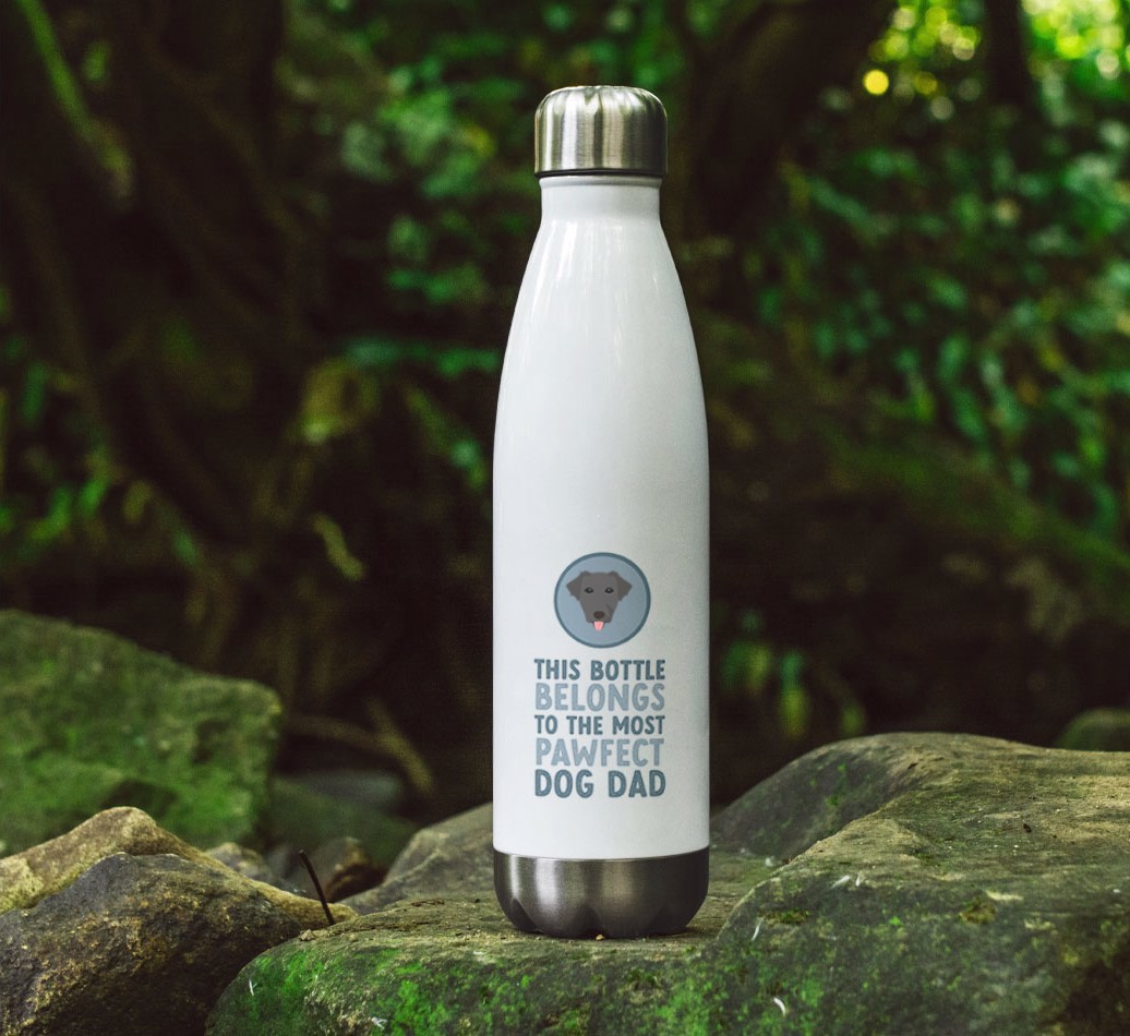 Pawfect Dog Dad: Personalized {breedFullName} Water Bottle - full image on rocks